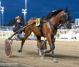 Kulusevski Pellini och Johan Untersteiner | Jägersro 261013 | Foto: Stefan Olsson