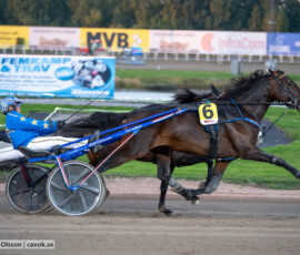 Laurence Olivier och Markus Waldmüller | Jägersro 260930 | Foto: Stefan Olsson