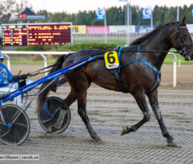 Laurence Olivier och Markus Waldmüller | Jägersro 260930 | Foto: Stefan Olsson
