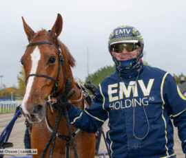 Mystic des Thuyas och Conrad Lugauer | Jägersro 261024 | Foto: Stefan Olsson
