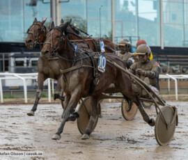 Bopperstreetgirl och Svend Dyhrberg | Jägersro 261017 | Foto: Stefan Olsson