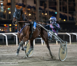 Ludde K. och Kent Knutsson | Jägersro 261013 | Foto: Stefan Olsson