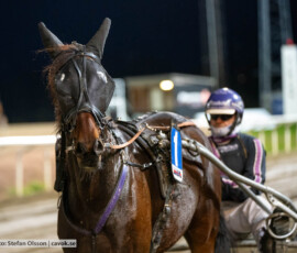 Ludde K. och Kent Knutsson | Jägersro 261013 | Foto: Stefan Olsson