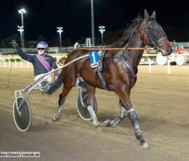 Ludde K. och Kent Knutsson | Jägersro 261013 | Foto: Stefan Olsson