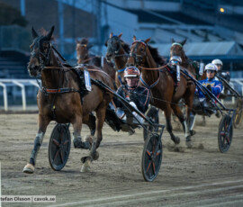 Profiles By Finish och Dion Tesselaar | Jägersro 260930 | Foto: Stefan Olsson