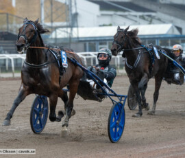 Reidar di Quattro och Tyler Mifsud | Jägersro 261024 | Foto: Stefan Olsson