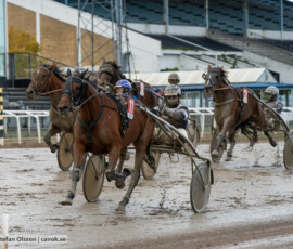 All That Matters och Ida Lindberg | Jägersro 261017 | Foto: Stefan Olsson