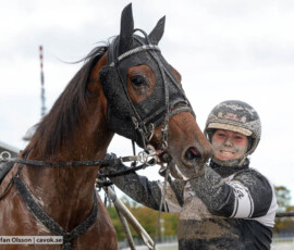 All That Matters och Ida Lindberg | Jägersro 261017 | Foto: Stefan Olsson