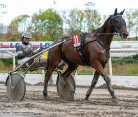 All That Matters och Ida Lindberg | Jägersro 261017 | Foto: Stefan Olsson