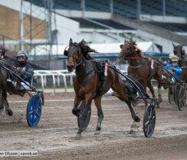 Midnight Rhyme och Carl Johan Jepson | Jägersro 261024 | Foto: Stefan Olsson