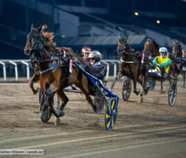 Nova Game och Ken Ecce | Jägersro 260930 | Foto: Stefan Olsson