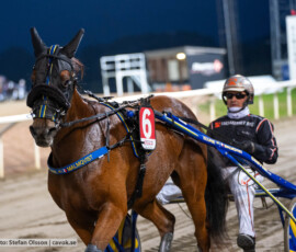 Nova Game och Ken Ecce | Jägersro 260930 | Foto: Stefan Olsson