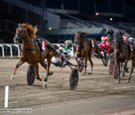 Red Madonna och Jeppe Juel | Jägersro 261013 | Foto: Stefan Olsson