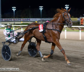 Red Madonna och Jeppe Juel | Jägersro 261013 | Foto: Stefan Olsson