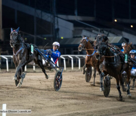 Cay och Joakim Lövgren | Jägersro 261013 | Foto: Stefan Olsson