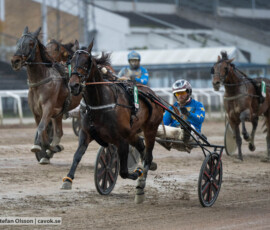 Don Quijote Face och Adrian Kolgjini | Jägersro 261024 | Foto: Stefan Olsson