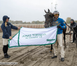 Don Quijote Face och Adrian Kolgjini | Jägersro 261024 | Foto: Stefan Olsson