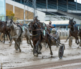 Global Everytime och Bernardo Grasso | Jägersro 261017 | Foto: Stefan Olsson
