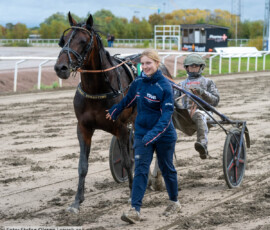 Global Everytime och Bernardo Grasso | Jägersro 261017 | Foto: Stefan Olsson