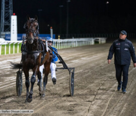 Marius May och Ole Johan Östre | Jägersro 261013 | Foto: Stefan Olsson