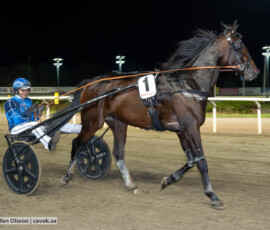 Marius May och Ole Johan Östre | Jägersro 261013 | Foto: Stefan Olsson