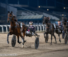 Nassir Dust och Robin Bakker | Jägersro 260930 | Foto: Stefan Olsson