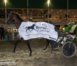 Nassir Dust och Robin Bakker | Jägersro 260930 | Foto: Stefan Olsson