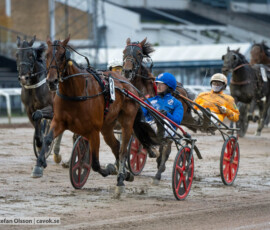Nilla Lane och Johan Untersteiner | Jägersro 261024 | Foto: Stefan Olsson