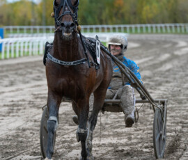 Star Cash och Max Säker Lysell | Jägersro 261017 | Foto: Stefan Olsson