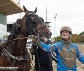 Star Cash och Max Säker Lysell | Jägersro 261017 | Foto: Stefan Olsson
