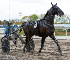 Star Cash och Max Säker Lysell | Jägersro 261017 | Foto: Stefan Olsson