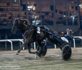 Black Fire och Tyler Mifsud | Jägersro 260930 | Foto: Stefan Olsson