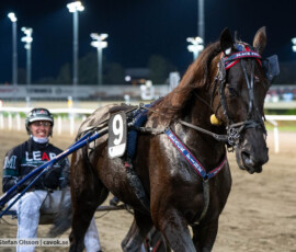Black Fire och Tyler Mifsud | Jägersro 260930 | Foto: Stefan Olsson