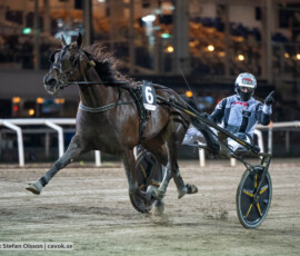 Borups Chaplin och Bernardo Grasso | Jägersro 261013 | Foto: Stefan Olsson