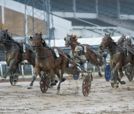 Call Me Ottilia och Stefan Persson | Jägersro 261024 | Foto: Stefan Olsson