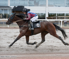 Stormy Wareco och Helena Lindqvist | Jägersro 261017 | Foto: Stefan Olsson