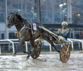 Chat Room och Magnus A Djuse | Jägersro 261024 | Foto: Stefan Olsson