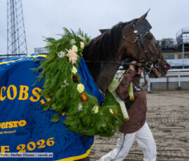 Chat Room | Jägersro 261024 | Foto: Stefan Olsson