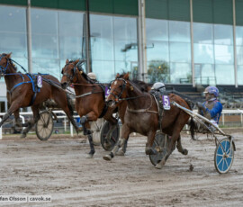 Divine Express och Jonas M Oscarsson | Jägersro 261017 | Foto: Stefan Olsson
