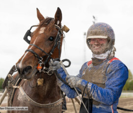 Divine Express och Jonas M Oscarsson | Jägersro 261017 | Foto: Stefan Olsson