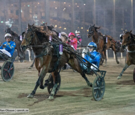 Midnight Rhyme och Ole Johan Östre | Jägersro 261013 | Foto: Stefan Olsson