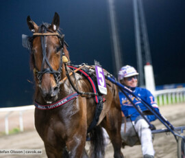 Universal Tile och Joakim Lövgren | Jägersro 260930 | Foto: Stefan Olsson