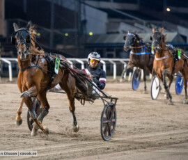 Mister Smartface och Adrian Kolgjini | Jägersro 261013 | Foto: Stefan Olsson