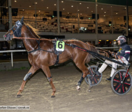 Mister Smartface och Adrian Kolgjini | Jägersro 261013 | Foto: Stefan Olsson