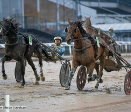 Richmond och Johan Untersteiner | Jägersro 261024 | Foto: Stefan Olsson