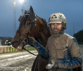 Kentucky River och Magnus Djuse | Jägersro 261024 | Foto: Stefan Olsson
