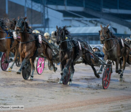 Blixt Lane och Jonas M Oscarsson | Jägersro 261024 | Foto: Stefan Olsson