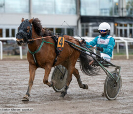 Ekslätts Twilight och Meja Andersson Kajrup | Jägersro 261017 | Foto: Stefan Olsson
