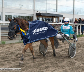 Ekslätts Twilight och Meja Andersson Kajrup | Jägersro 261017 | Foto: Stefan Olsson